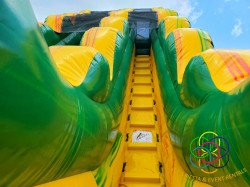 20210119 180259 1611101461 The Reptilian 20' Water Slide