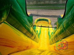 20210119 180339 1611101341 The Reptilian 20' Water Slide