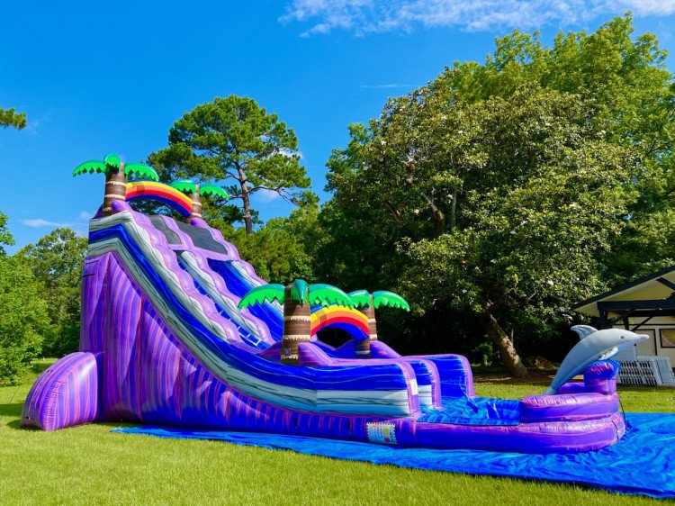 Dolphin Splashdown 24'H Water Slide